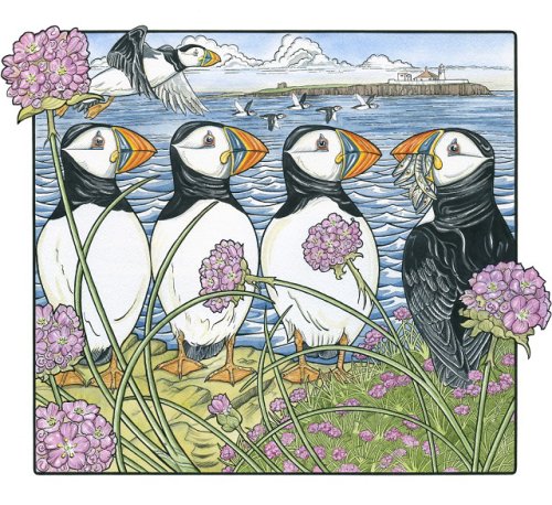 Sea Parrots and Sea Pinks