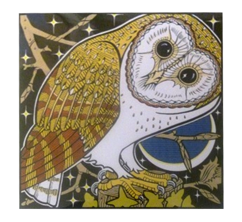 Barn Owl 2